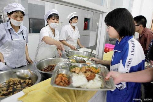 哈尔滨食堂爆料案件最新,揭开食品安全背后的惊人真相